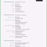 Einzahl 15 Schulischer Lebenslauf Vorlage