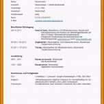 Einzahl 16 Cv Vorlage Englisch