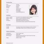 Einzahl 16 Lebenslauf Vorlage Ingenieur