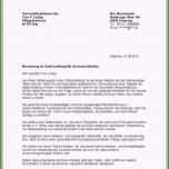 Einzahl 16 Praktikum Lebenslauf Vorlage