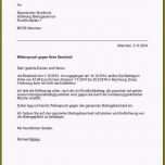 Einzahl 17 Exmatrikulation Widerspruch Muster