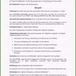 Einzahl 17 Serienbrief Vorlage