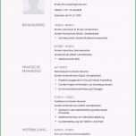 Einzahl 19 Einfacher Lebenslauf Muster 2016