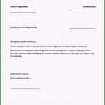 Einzahl 20 Arbeitsvertrag Minijob Vorlage