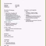 Einzahl 20 Tabellarischer Lebenslauf Uni Vorlage
