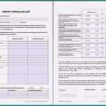 Einzahl 34 Schön Finanzielle Bürgschaft Vorlage Modelle