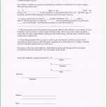 Einzahl 42 Fragebogen Vorlage Download Laurencopeland