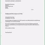 Einzahl 43 Inspiration Kündigung Mietvertrag Vermieter Vorlage Pdf