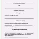 Einzahl 9 Kaufvertrag Gekauft Wie Gesehen Muster