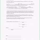 Einzahl 9 Vollmacht Vorlage Kfz Zulassung Zpqkgu