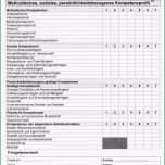 Einzahl 90 Inspirational Mitarbeiterbeurteilung Vorlage