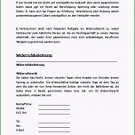 Einzahl Agb Amazon Shop Muster Zum sofort