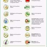 Einzahl Allergene Gastronomie Vorlage Annehmbar