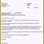 Einzahl Angebotstext Muster Design