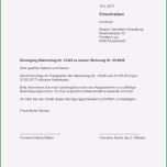 Einzahl Arbeitskündigung Vorlage New Die Erstaunliche Kündigung