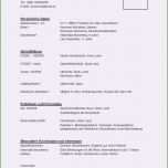 Einzahl Aufmaßblatt Excel