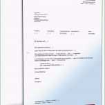 Einzahl Auftragsbestätigung Mit Liefertermin