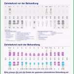 Einzahl Beispiel Eines Heil Und Kostenplanes