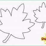 Einzahl Blatt Ausmalvorlagen Herbst