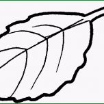 Einzahl Blatt Mit Stengel Ausmalbild &amp; Malvorlage Blumen