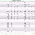 Einzahl Bwa Vorlage Proposal Templated – De Excel