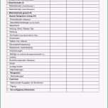 Einzahl Checkliste Zum Unternehmenskonzept Pdf