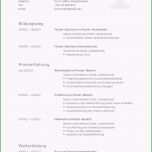 Einzahl Der Perfekte Lebenslauf Für Bewerbung Zur Ausbildung