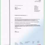 Einzahl Die 25 Besten Ideen Zu Rücktritt Vorlage Auf Pinterest