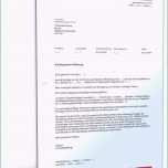 Einzahl Die Fabelhaften Kündigung Praktikum Vorlage