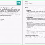 Einzahl Dsgvo Mit Careorganise Auf Der Sicheren Seite
