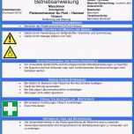 Einzahl Einzigartiges Betriebsanweisung Gefahrstoffe Muster