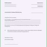 Einzahl Einzigartiges Kündigung Autoversicherung Muster