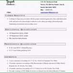 Einzahl Einzigartiges Private Vollmacht Muster