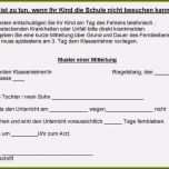 Einzahl Entschuldigung Vorlage Zum Ausdrucken Genial 8