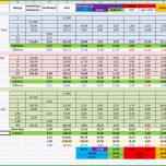 Einzahl Ernährungstagebuch