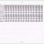 Einzahl Finanzplan Vorlage Für Businessplan Excel Kostenlos