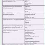 Einzahl Fragebogen Erstellen Vorlage