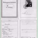 Einzahl Führungszeugnis Zur Vorlage Bei Einer Behörde – Kostenlos