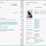 Einzahl Gallery Of Bewerbung Anschreiben Vorlage Im Design Beige