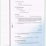 Einzahl Hamburger Mietvertrag Download Kostenlos Word Vorlage