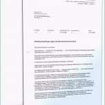 Einzahl Kassenbuch Handschriftlich Vorlage Genial Bericht