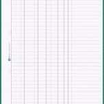 Einzahl Kassenbuch Handschriftlich Vorlage Kostenlos Hübscher