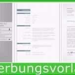 Einzahl Komplett Word Vorlage Lebenslauf Führungskraft