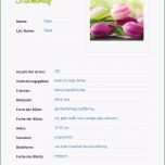 Einzahl Kostenloses Lehrmaterial Steckbriefe Erstellen Im Unterricht