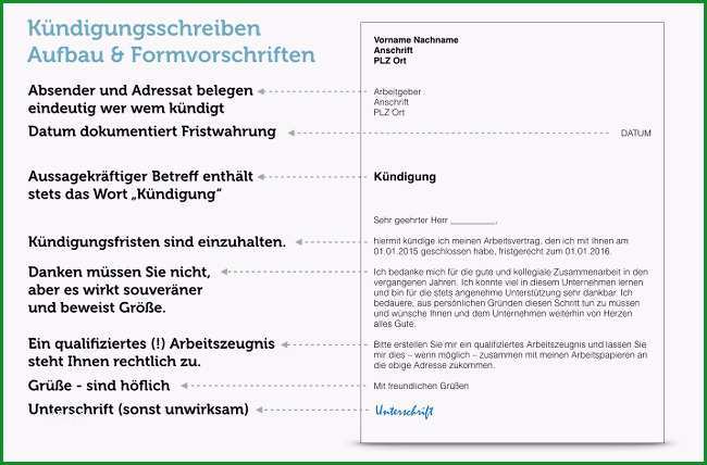 kundigung job vorlage