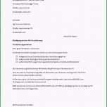 Einzahl Kündigung Mietvertrag Vermieter Vorlage Kostenlos Pdf
