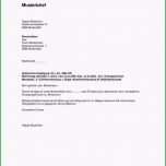 Einzahl Kündigung Minijob Vorlage Cool 4 Kündigungsschreiben