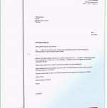 Einzahl Kündigung Otelo Vertrag Vorlage Telekom Kundigung Vorlage