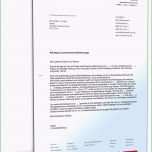 Einzahl Kündigungsschreiben Vorlage Wohnung Mieter Kundigung