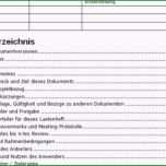 Einzahl Lastenheft Vorlage Download